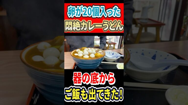 卵が20個入った悶絶カレーうどん！器の底からご飯も登場！！ #はいじぃ #グルメ #mukbang #ラーメン #eatingtour #下北沢グルメ #広栄屋