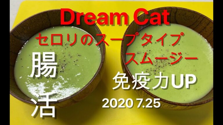 スムージースペシャリストDreamCatのスープタイプスムージー2020 7.25