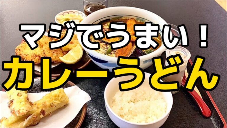 うどん専門店の絶品カレーうどん！【栃木グルメ】下野うどん草庵【栃木県下野市】