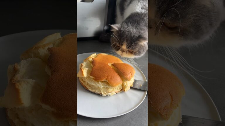 ヨーグルトでスフレケーキ作った結果ww #shorts