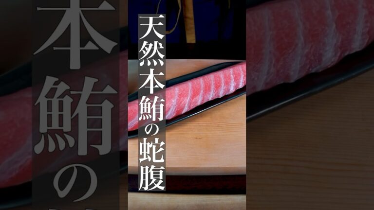 【天然本マグロ大トロの握り】#料理#料理動画 #寿司 #鮨
