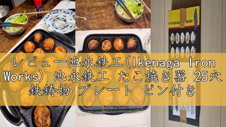 レビュー池永鉄工(Ikenaga Iron Works) 池永鉄工 たこ焼き器 25穴 鉄鋳物 プレート ピン付き