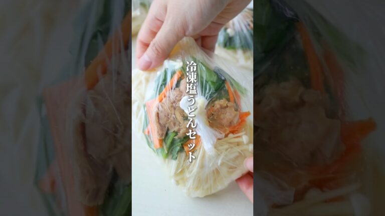 【手作り冷凍食品】塩うどんセット