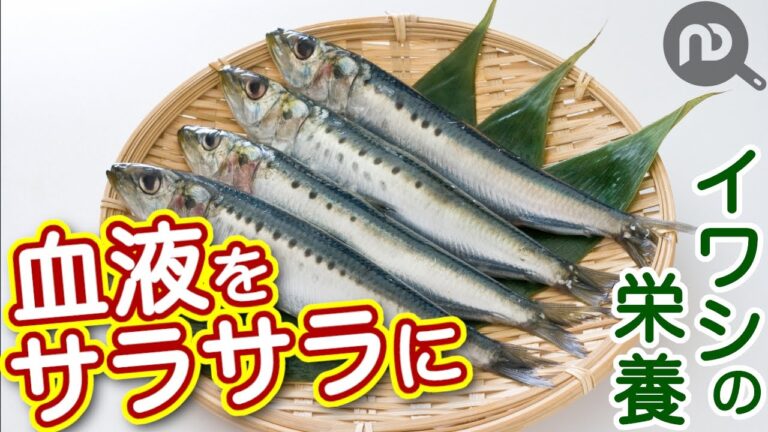 イワシの栄養で血液をサラサラに！ＤＨＡとＥＰＡの違いも解説！　N.D.Kitchen Wellness
