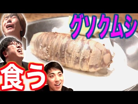 【閲覧注意】グソクムシの衝撃的なルックスにビビりまくり【ゲテモノ】