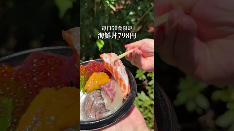 【激ヤバ】広島のレベル100の海鮮丼