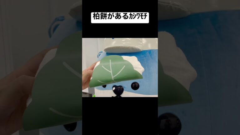 カシワモチ…カシワモチ… #柏餅 #ゼンカイジャー #ドンブラザーズ