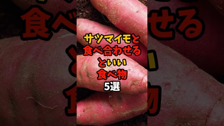 9割が知らない？サツマイモと食べ合わせがいい食べ物5選 #yutubeshorts  #食材の効能 #雑学 #食べ物 #食のひみつ #健康豆知識 #栄養 #野菜 #さつまいも #美容