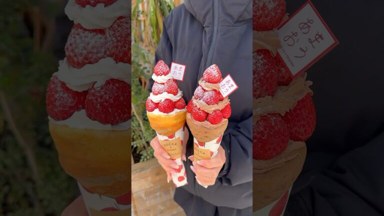 大粒イチゴをたっぷり載せたチョコクレープ！上質なクリームとイチゴの甘さがたまらない【ROCCA&FRIENDS CREPERIE：大阪 高槻】