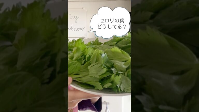 捨てないでねセロリの葉/目からウロコ