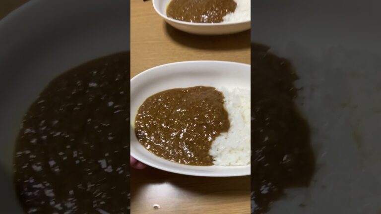 ひき肉玉ねぎカレーライス