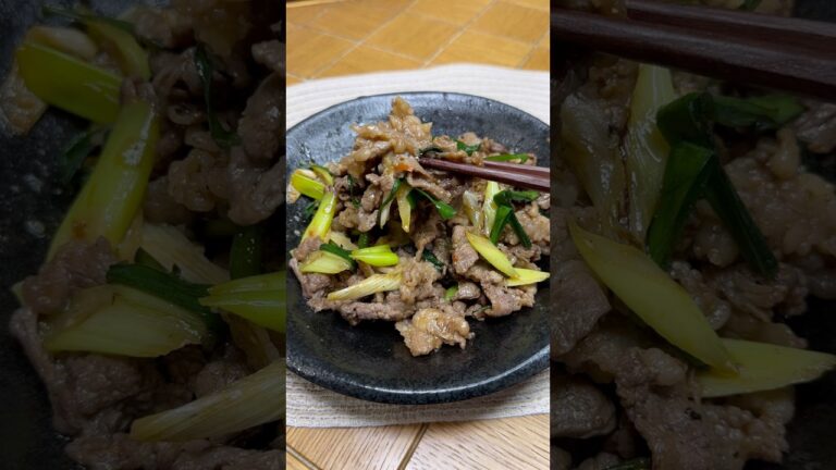 牛肉と長ネギとニラの辛味噌炒め