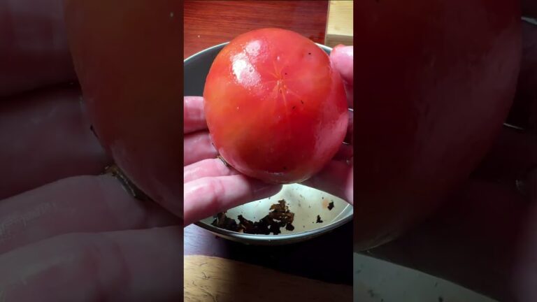 タコのスペイン風 #shorts