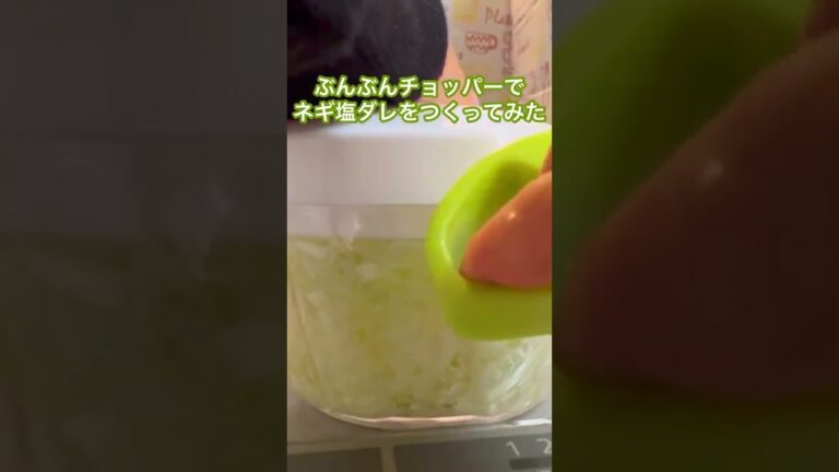 【神レシピ】ぶんぶんチョッパーでネギ塩だれを秒速で作る！お肉にも餃子にも合う万能だれ