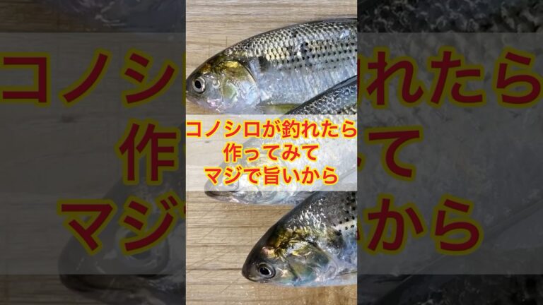 これは旨い『コノシロ』の料理方法（炙り）