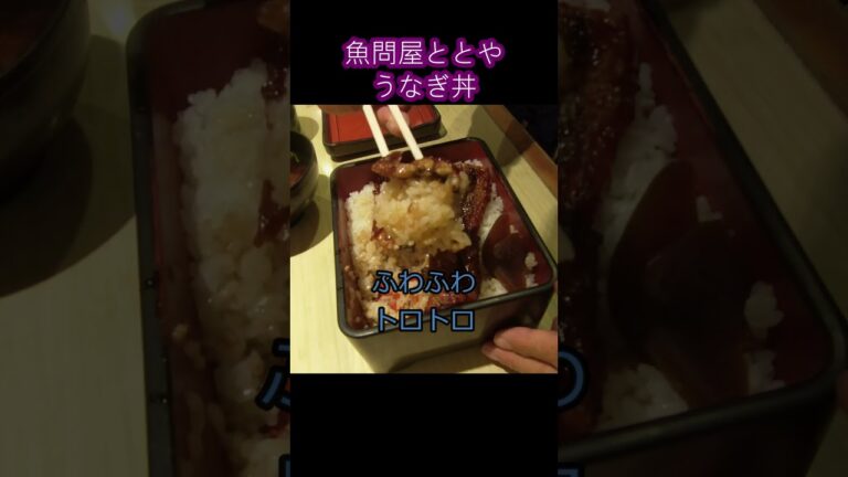 【京都 魚問屋ととや】うなぎ丼　京都市中央卸売市場の直営店#Shorts