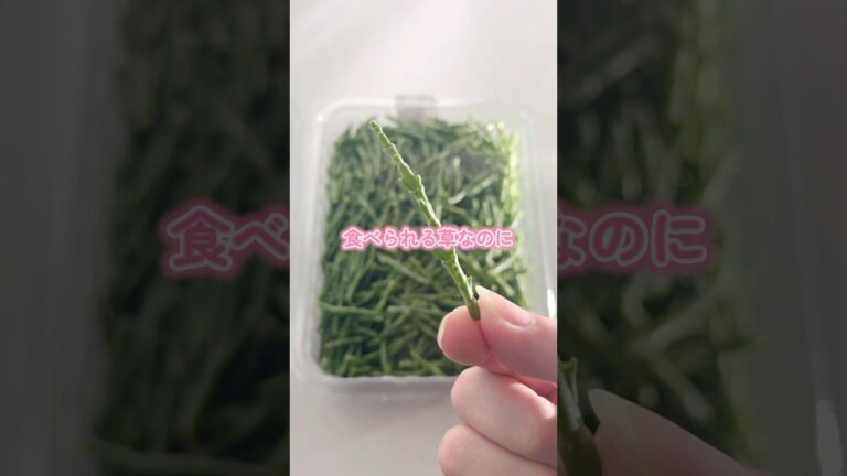 おもちゃにしか見えない食べられる草の食感が凄かった #asmr #mukbang #eatingsounds #costco #咀嚼音 #コストコ #shorts