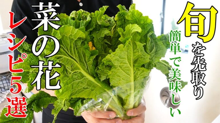 ♢旬！『菜の花レシピ５選！』☆どれも簡単でリピ確定！菜の花はこう食え☆