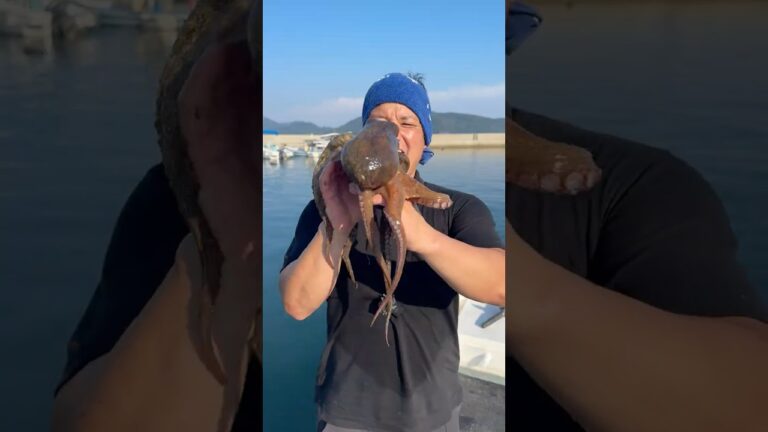 漁師めし！タコの丸ごとから揚げ！