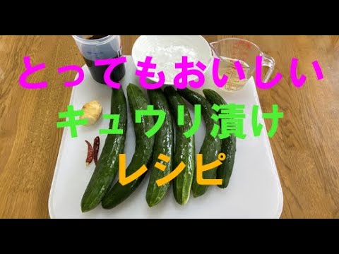 『ふにゃふにゃ』しない厚切りキュウリのきゅうちゃん漬け、レシピ通りで失敗なし、キュウリ最高の食べ方
