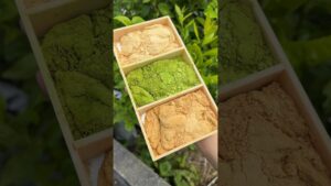 ぷるぷるの飲める抹茶わらび餅