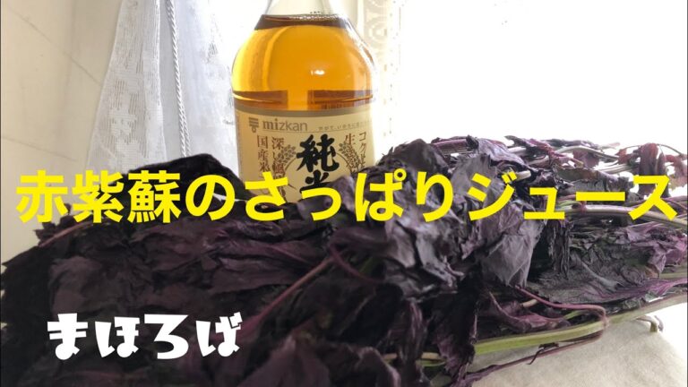 赤紫蘇サワーを作ってみたよ