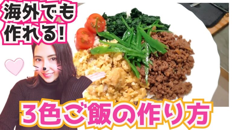 【ワーホリ生活】海外でも作れる３色ご飯の作り方【和食レシピ】