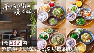 【1週間30分節約献立#209】1食238円の超簡単♪野菜たっぷり献立│大根の甘辛生姜そぼろあん│鮭ときのこのホイル焼き│豚バラとくたくた白菜のフライパン蒸し│厚揚げとなめこのみぞれ煮│まとめ買い