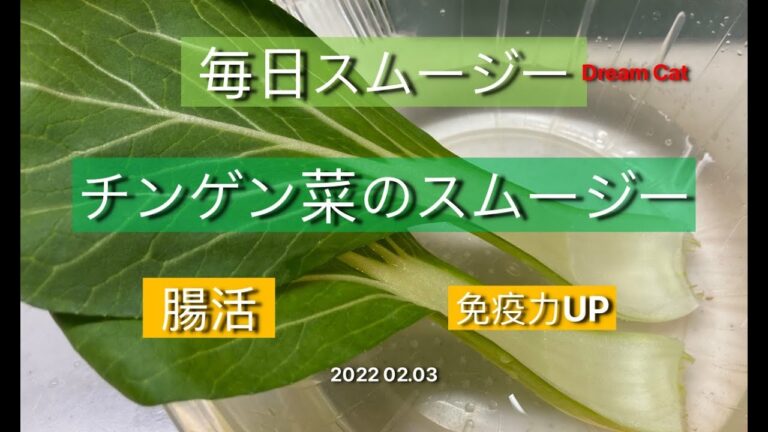 スムージー スペシャリストDream Catのスムージー 2022 02.03