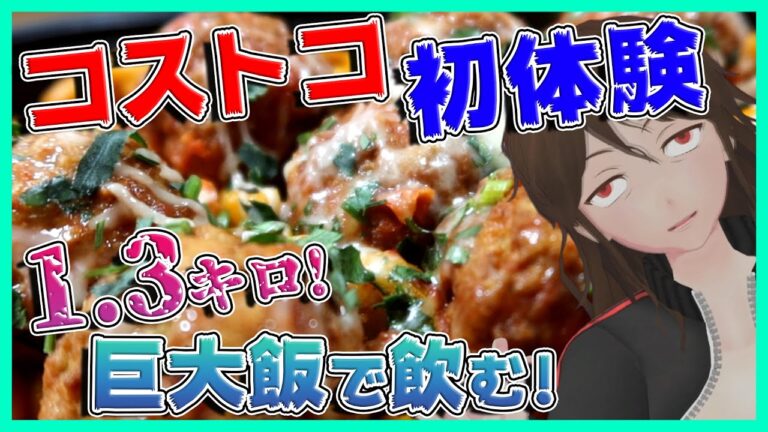 【COSTCO】1.3kgアメリカ飯！巨大ミートボール＆大量パスタで酒を飲め！【264】