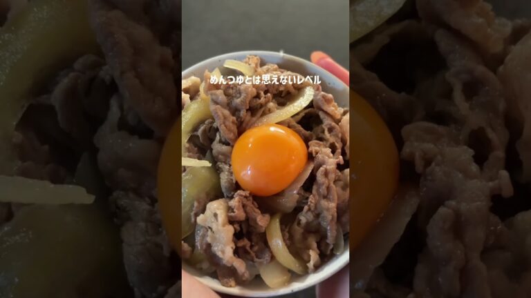 冷凍ストック/麺つゆ牛丼