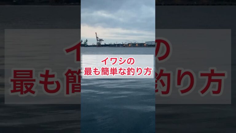 イワシの最も簡単な釣り方
