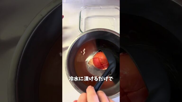 【5ヶ月〜】トマトペースト｜離乳食初期｜ゴックン期  #離乳食レシピ #赤ちゃんのいる生活