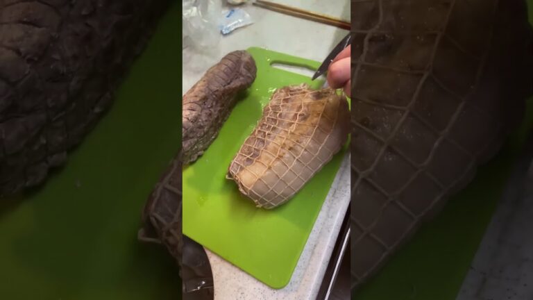 【番外編】コストコ肉塊でチャーシュー作ってみた‼︎　#チャーシュー #コストコ #コストコ購入品 #shorts #short #調理