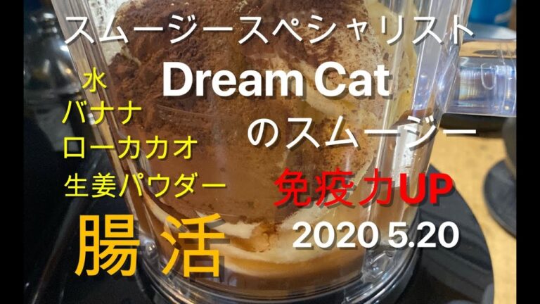 スムージースペシャリストDreamCatのホットスムージー2020 5.20