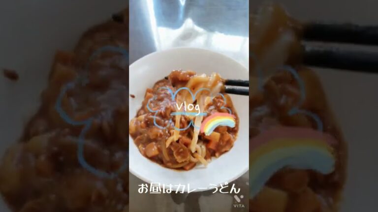 カレーの次は#カレーライス #カレーうどん