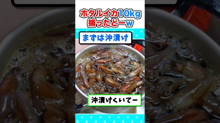 【2ch面白いスレ】ホタルイカ10キロ捕ってきたから料理するぞｗ #2ch #料理 #5ch #ご飯 #なんj#飯テロ#ホタルイカ