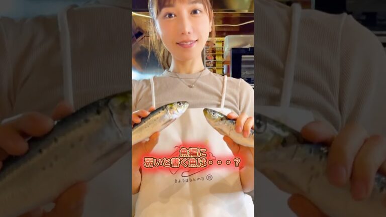 【大豊漁】脂のり最強いわしを薬味どっさり＆梅しそフライに！【鳥取県境港】 #魚屋の森さん #shorts