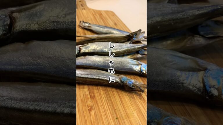 ししゃものアレンジレシピとか不用#shorts #おつまみ