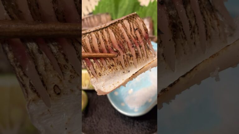 特大カマス昆布締め炙り🔥✨🐟高級真昆布で締めてカボスと天日塩で食す❗️#asmr#カマス#刺身#昆布締め#炙り#熊本#熊本グルメ#鮮魚タケル#茜霧島#魚の捌き方#天草