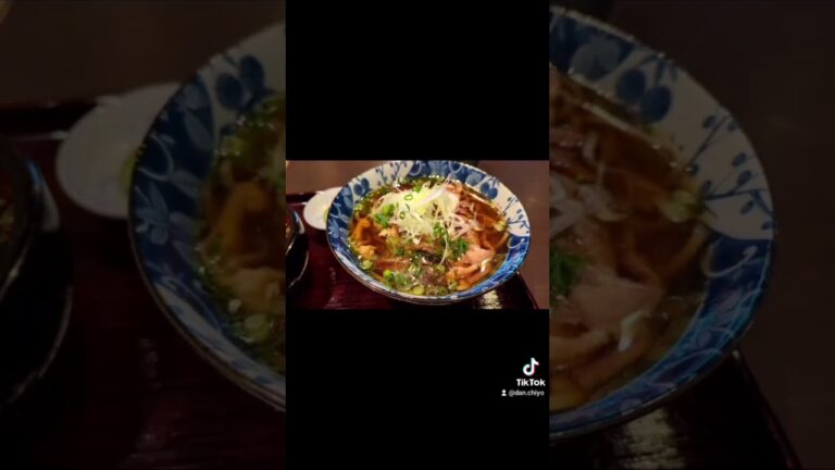 山形県鶴岡市で冷たい肉そば #tiktok #アーカイブ