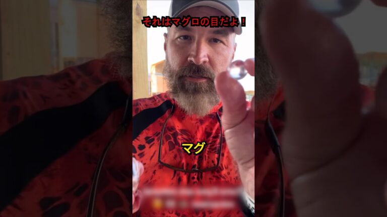 この奇妙なマグロのゼリーは珍味です