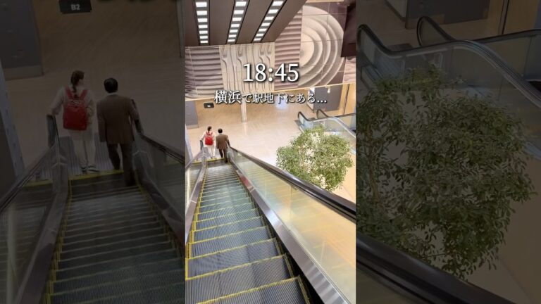 【横浜】1960年創業。横浜生まれのカレーといえばここ！ #横浜グルメ