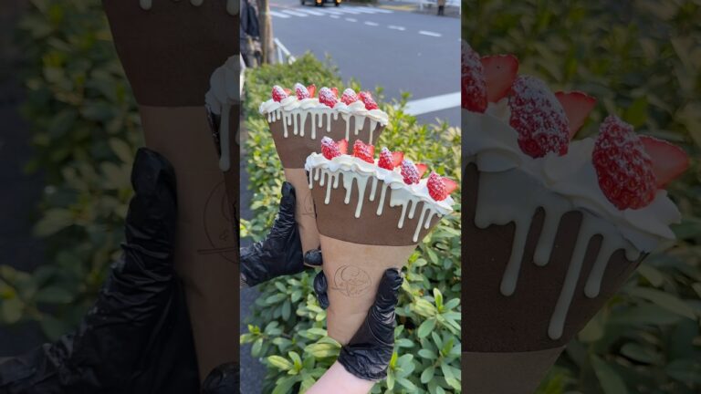 Double Chocolate Crepe🍫