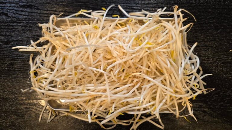 1袋28円のもやしが売れるほど旨くなる。【ラーメン屋さんのもやし】