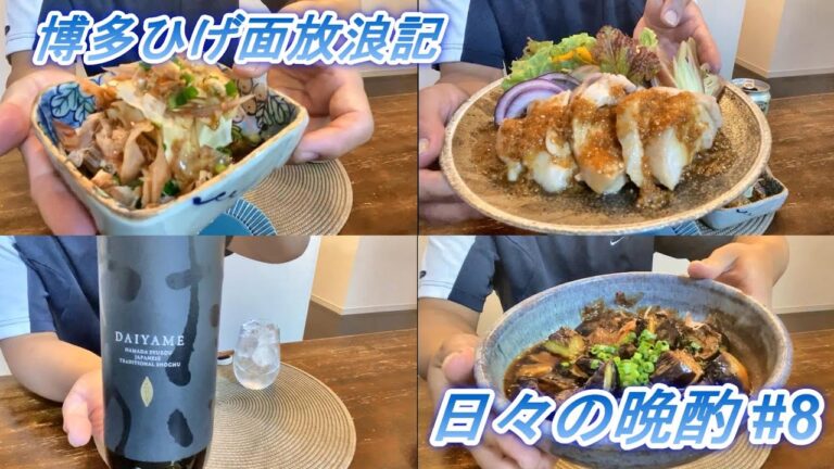 【宅飲み】絶品のよだれ鶏とナスの揚げ浸しをだいやめと共に 日々の晩酌#8