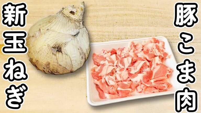 【新玉ねぎの簡単レシピ】材料2つ！豚こま肉の生姜焼き　箸が止まらないお手軽炒め物の作り方　春レシピ