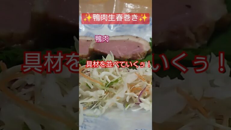 簡単ヘルシー鴨肉生春巻き✨(ポイントはライスペーパー二枚重ねにすると巻きやすいよ♪)
