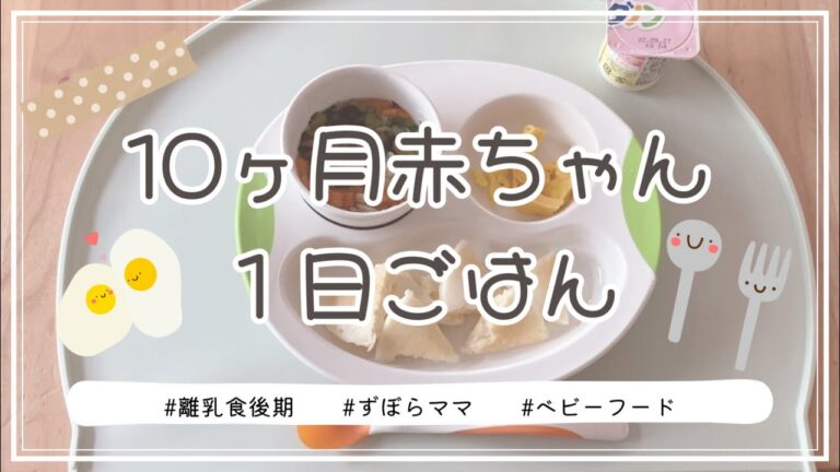 10ヶ月赤ちゃんの1日ごはん／離乳食後期／子育て／ベビーフード