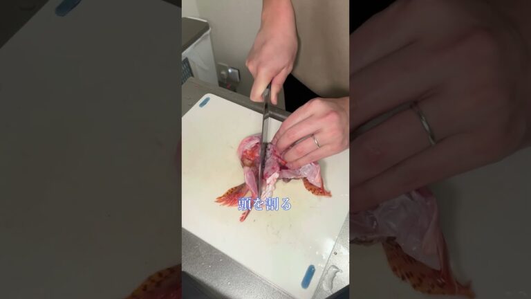 カサゴの味噌汁 #カサゴ #味噌汁 #あら汁 #アラカブ #ガシラ #魚料理 クッキング #レシピ #海鮮料理 #釣り #3枚おろし #秋田釣り